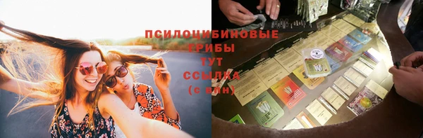 метадон Абаза