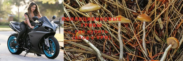 амф Абинск